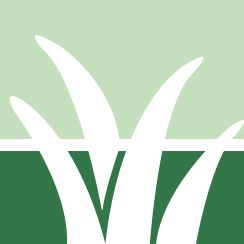 Lawn Weed Treatment Service Pros