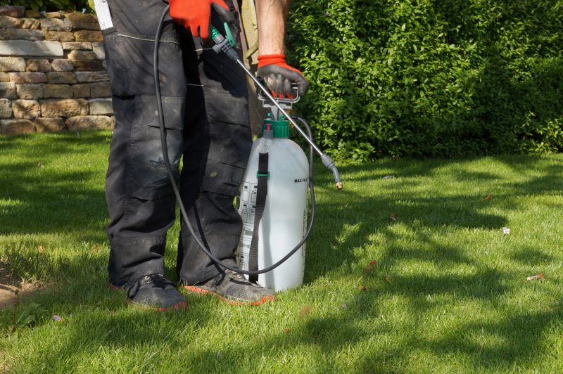 Lawn Weed Treatment