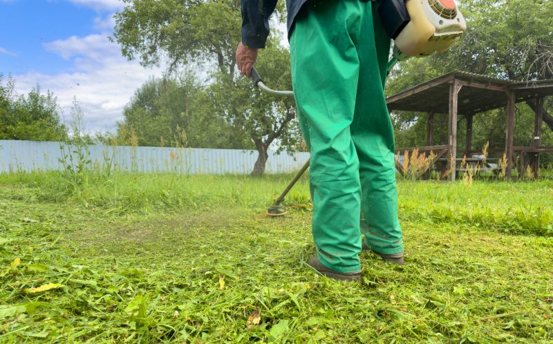 Lawn Weed Treatment Service