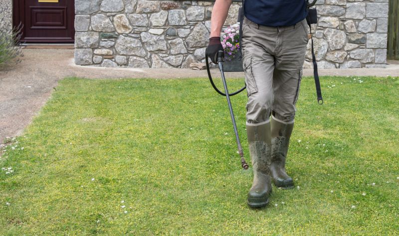 Lawn Weed Treatment detail