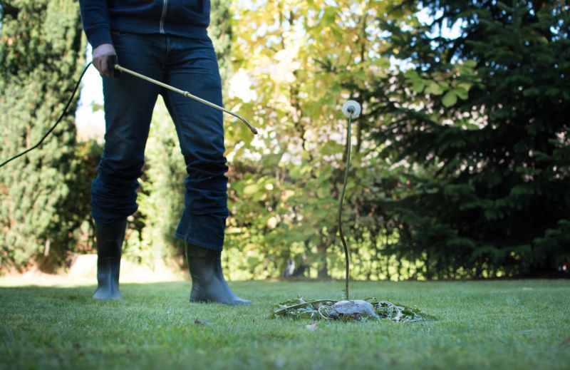 Lawn Weed Treatment detail